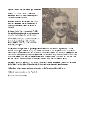 A preview of a PDF biography for Hitchmough, William Grice